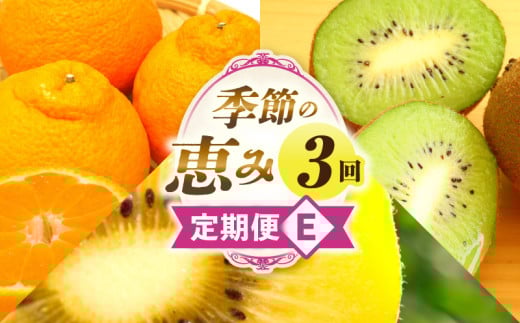 季節の恵み3回定期便E | 果物 フルーツ 青果 青果物 デザート スイーツ 果実 旬 季節 旬の果物 季節の果物 生鮮食品 生鮮 贈答 贈り物 ギフト プレゼント おすそ分け お祝い 内祝い ご褒美 人