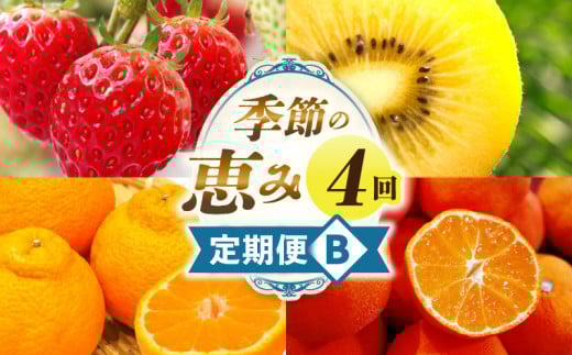 季節の恵み4回定期便B | 果物 フルーツ 青果 青果物 デザート スイーツ 果実 旬 季節 旬の果物 季節の果物 生鮮食品 生鮮 贈答 贈り物 ギフト プレゼント おすそ分け お祝い 内祝い ご褒美 人