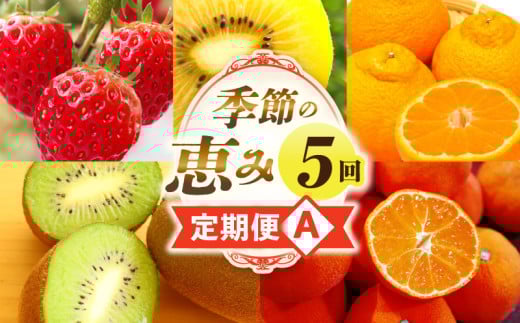 季節の恵み5回定期便A | 果物 フルーツ 青果 青果物 デザート スイーツ 果実 旬 季節 旬の果物 季節の果物 生鮮食品 生鮮 贈答 贈り物 ギフト プレゼント おすそ分け お祝い 内祝い ご褒美 人