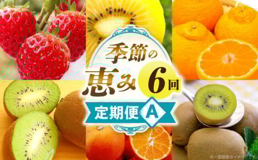 季節の恵み6回定期便A|果物 フルーツ 青果 青果物 デザート スイーツ 旬 季節 旬の果物 季節の果物 生鮮食品 生鮮 贈答 贈り物 ギフト プレゼント おすそ分け お祝い 内祝い ご褒美 人気 グル