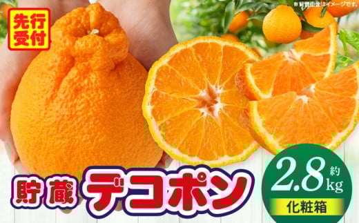 貯蔵デコポン約2.8kg化粧箱(7〜12玉)【香川県共通返礼品】 | デコポン 甘い 酸味 柑橘 柑橘系 果物 フルーツ 青果 デザート グルメ おすすめ 贈答 贈り物 贈答用 ギフト プレゼント 特産品 特産