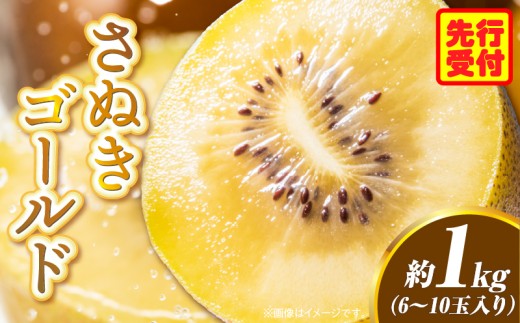 쌧IWiLECt[cuʂS[hv1kgi6|10ʁjy쌧ʕԗiz | ʕ t[c  ʕ LEC ʂS[h fU[g ʎ  蕨 Mtg Â Ǐn