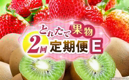 とれたて果物 2回定期便E 果物 フルーツ 果物定期便 フルーツ定期便 定期便 いちご キウイ濃厚 旬の果物 定期 人気 おすすめ 贈答 贈り物 青果物 糖度 香川県 _mk165-t055香川県三木町19500果物・