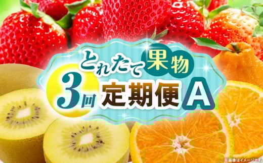とれたて果物 3回定期便A 果物 フルーツ 果物定期便 フルーツ定期便 定期便 いちご キウイ デコポン濃厚 旬の果物 定期 人気 おすすめ 贈答 贈り物 青果物 糖度 香川県 _mk165-t065香川県三木町2