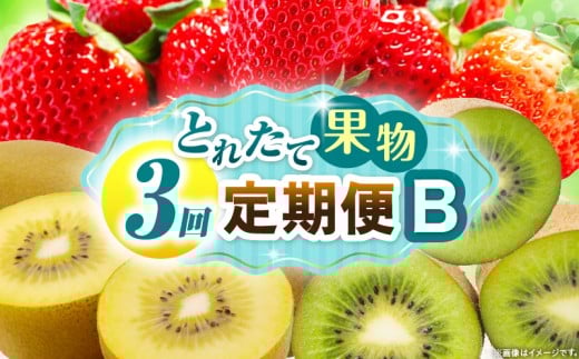 とれたて果物 3回定期便B 果物 フルーツ 果物定期便 フルーツ定期便 定期便 いちご キウイ濃厚 旬の果物 定期 人気 おすすめ 贈答 贈り物 青果物 糖度 香川県 _mk165-t066香川県三木町29500果物・