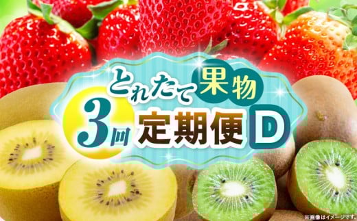 Ƃꂽĉʕ 3D ʕ t[c ʕ t[c   LECZ {̉ʕ  lC   蕨 ʕ x 쌧 _mk165-t068쌧Oؒ29500ʕE