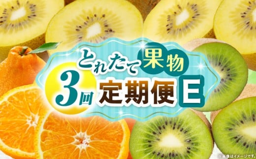 Ƃꂽĉʕ 3E ʕ t[c ʕ t[c  LEC fR|Z {̉ʕ  lC   蕨 ʕ x 쌧 _mk165-t069쌧Oؒ30000ʕ