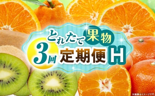 とれたて果物 3回定期便H 果物 フルーツ 果物定期便 フルーツ定期便 定期便キウイデコポンみかん 濃厚 旬の果物 定期 人気 おすすめ 贈答 贈り物 青果物 糖度 香川県 _mk165-t072香川県三木町300