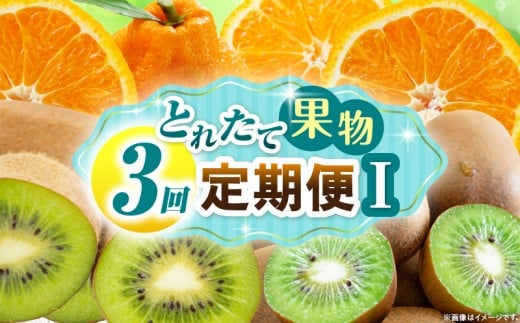 とれたて果物 3回定期便I 果物 フルーツ 果物定期便 フルーツ定期便 定期便キウイ デコポン濃厚 旬の果物 定期 人気 おすすめ 贈答 贈り物 青果物 糖度 香川県 _mk165-t073香川県三木町30000果物