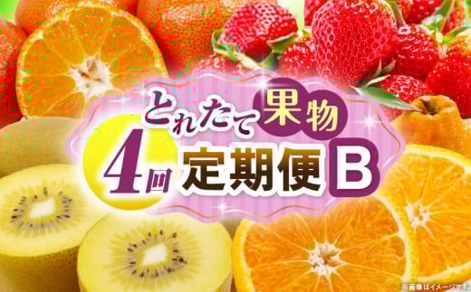 とれたて果物 4回定期便B 果物 フルーツ 果物定期便 フルーツ定期便 定期便 いちご キウイ デコポン みかん 濃厚 旬の果物 定期 人気 おすすめ 贈答 贈り物 青果物 糖度 香川県 _mk165-t075香川