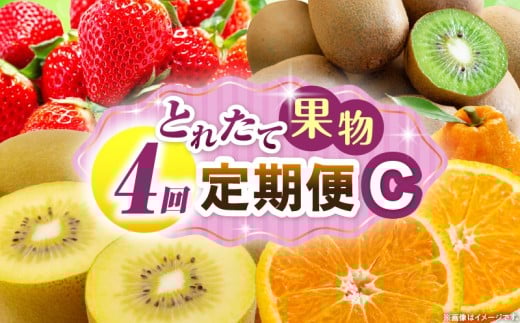 とれたて果物 4回定期便C 果物 フルーツ 果物定期便 フルーツ定期便 定期便 いちご キウイ デコポン濃厚 旬の果物 定期 人気 おすすめ 贈答 贈り物 青果物 糖度 香川県 _mk165-t076香川県三木町3