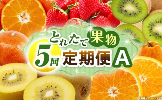とれたて果物 5回定期便A 果物 フルーツ 果物定期便 フルーツ定期便 定期便 いちご キウイ デコポンみかん 濃厚 旬の果物 定期 人気 おすすめ 贈答 贈り物 青果物 糖度 香川県 _mk165-t080香川県
