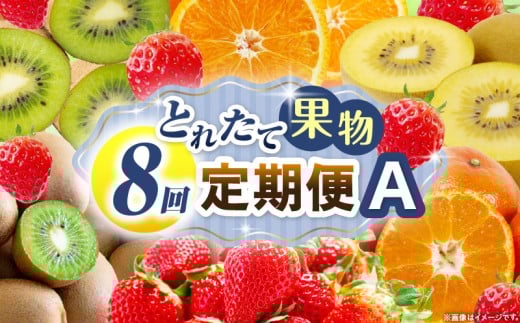 とれたて果物 8回定期便A 果物 フルーツ 果物定期便 フルーツ定期便 定期便 いちご キウイ デコポンみかん 濃厚 旬の果物 定期 人気 おすすめ 贈答 贈り物 青果物 糖度 香川県 _mk165-t084香川県