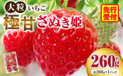 大粒いちご 極甘さぬき姫 約260g  | 果物 フルーツ いちご フレッシュ ジューシー 香り 爽やか 春 真っ赤 旬の果物 人気 おすすめ 贈答 贈り物 青果物 糖度 香川県 三木町 |_mk165-015香川県三木