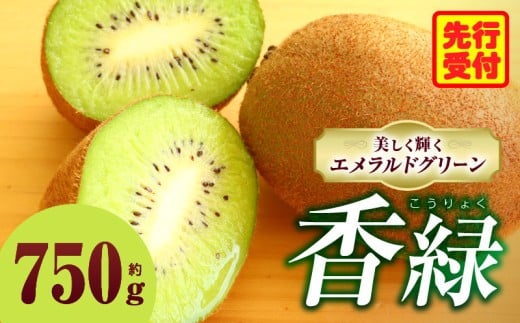 LEC@΂N₩ȁ@ 750g  | ʕ t[c  傭 LEC O[ tbV W[V[  u₩ {̉ʕ lC   蕨 ʕ x 쌧 O