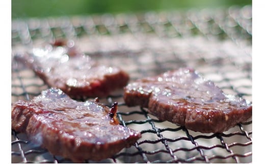 鷹山ファミリー牧場で大切に育てたプレミアム牛肉500gパック長野県長和町17000肉牛肉