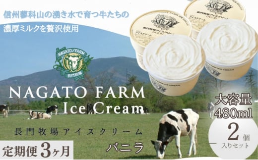 【定期便】3ヵ月連続でお届け!長門牧場アイスクリーム 480ml バニラ2個セット アイス ギフト スイーツ デザート 人気 おすすめ 高評価 お土産 ご当地長野県長和町43000菓子・スイーツアイ