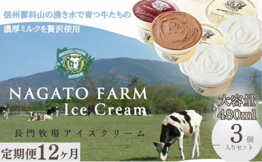 【定期便】12ヵ月連続でお届け!長門牧場アイスクリーム 480ml 3個セット バニラ チョコレート アイス ギフト スイーツ デザート 人気 おすすめ 高評価 お土産 ご当地長野県長和町220000菓子・