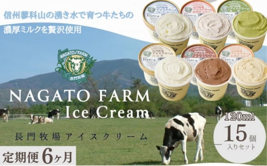 【定期便】6ヵ月連続でお届け!長門牧場アイスクリーム 15個セット バニラ チョコレート アイス ギフト スイーツ デザート 人気 おすすめ 高評価 お土産 ご当地長野県長和町142000菓子・スイ