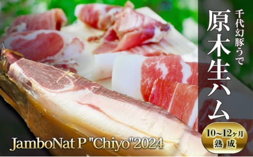 JamboNat P Chiyo2024(千代幻豚うで原木生ハム10-12ヶ月熟成)長野県長和町155000肉豚肉