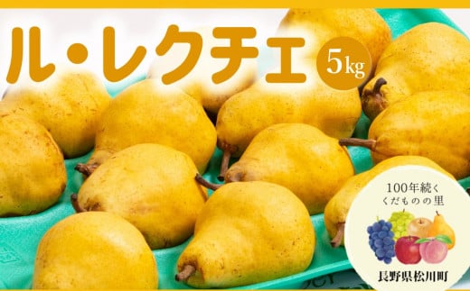 AS07-25A m EN`Fi쒬YjGi 5kg ^2025N11{ z\ // 쌧 MB 쒬 m N`F N`F m Ƃ낯 x 쌧쒬14000ʕEt[