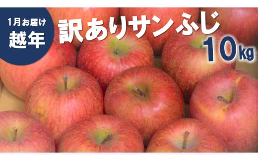 AS13-25A りんご サンふじ  越年自家用(松川町産) 約10kg /2026年1月中旬〜2月中旬頃 配送予定 // 長野県 南信州 さんふじ サンフジ ふじりんご 訳あり 訳アリ 家庭用 自家用 年明け配送長野県