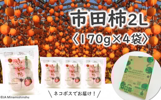 JA38-25A sc` i嗱2LTCYj 170g × 4 / 2026N1{`2{ z\ // 쌧 MB ` ` 嗱 2LTCY hCt[c  x i쌧쒬10000ʕEt