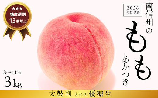 JA02-26Ays\z  3kg / 2026N7{`8{ z\ //  ZT[I xZT[   ʕ t[c Mtg  ۔ D쌧쒬17000ʕEt