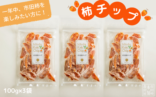TS06-25A 市田柿 柿チップ(約100g×3袋)// 長野県 南信州 干し柿 市田柿  ドライフルーツ 健康 ひとくちサイズ チップ長野県松川町6000果物・フルーツその他 果物・フルーツ
