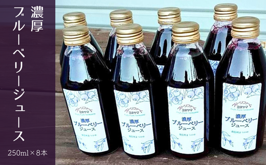 KB07-25D 濃厚ブルーベリージュース(250ml×8本)長野県松川町13000お茶・飲料果汁・野菜飲料