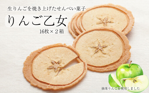 MZ06-25D りんご乙女 16枚×2箱 // 長野県 南信州 りんごのお菓子 薄焼きクッキー りんごせんべい フードロス 食品ロス 銘菓 お土産 ギフト 優秀味覚賞長野県松川町11000菓子・スイーツ焼き菓子
