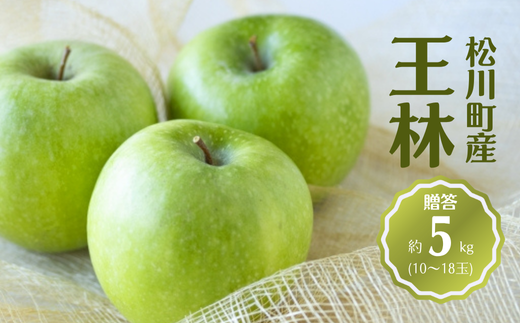 KR33-25A    5kgi10`18ʁj / 11{`z\ // 쌧 MB S ь Mtg  ΐF _ƒ _Ǝx Yn쌧쒬13000ʕEt[c