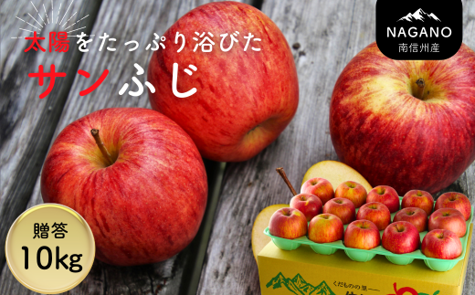 MZ11-25A 南信州産 サンふじりんご 約10s 贈答用 / 2025年12月中旬頃〜配送予定 // 長野県 南信州 さんふじ サンフジ ふじりんご 贈答 リンゴ 林檎長野県松川町28000果物・フルーツりんご・梨