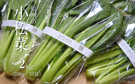 YT10-25B 【金田農園】 信州のお野菜 小松菜 約2kg  農薬・化学肥料に頼らず育ったお野菜 地元子どもたちの給食でも使用 // 有機野菜 有機食材 オーガニック オーガニック野菜 無農薬 化学肥料