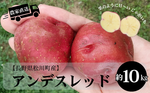 HF50-25B 쌧쒬YႪ AfXbh 10kg / 8{ Jn\ // 쌧 MB _͔|   C WKC GRt@[}[F _Ǝx Yn쌧쒬230