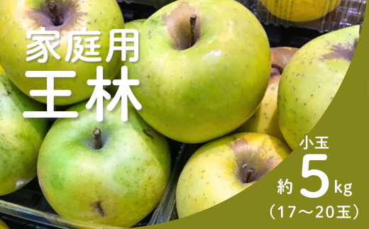 KR41-25A りんご 王林 家庭用【小玉】 約5s(17〜20玉) / 11月上旬頃〜配送予定 // 長野県 南信州 リンゴ 林檎 黄緑色りんご 訳あり 自家用 農家直送 農家支援 産地直送長野県松川町11000果物・