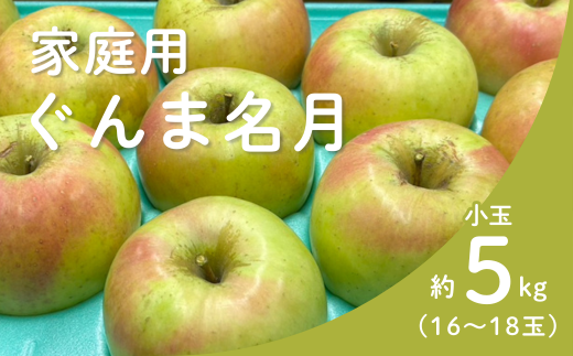 KR43-25A  ܖ ƒpyʁz 5si16`18ʁj / 11{`z\ // 쌧 MB S ь  󂠂 Ɨp _ƒ _Ǝx Yn쌧쒬11000ʕEt