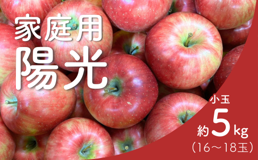 KR42-25A りんご 陽光 家庭用【小玉】 約5s(16〜18玉) / 10月中旬頃〜配送予定 // 長野県 南信州 リンゴ 林檎 ようこう 訳あり 自家用 農家直送 農家支援 産地直送長野県松川町11000果物・フル