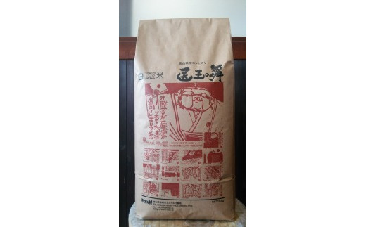 xRYRVqJw㉤̕x10kgxRvs22000āEp