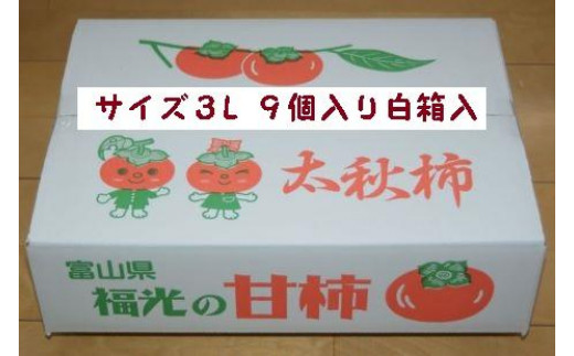 甘柿 太秋柿3L×9個入(2.25kg以上) 白箱入り【2025年10月17日頃より発送】富山県南砺市10000果物・フルーツその他 果物・フルーツ