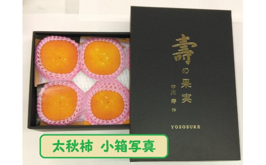 甘柿 太秋柿3L×6個入(1.5kg以上) 化粧小箱入り【2025年10月17日頃より発送】富山県南砺市7000果物・フルーツその他 果物・フルーツ