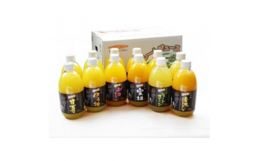 iX̉ʏ`100%Xg[gW[XZbgD35-1y1488833zQls20000Eʏ`E؈