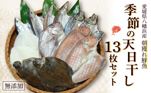 YEVs`s`lN̈銱13ZbgH26-4y1044325zQls38000ECYCJE^REEj