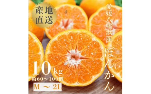 国安さんちの愛媛ポンカン10kg<D20-4>【1094581】愛媛県八幡浜市32000果物・フルーツみかん・柑橘類