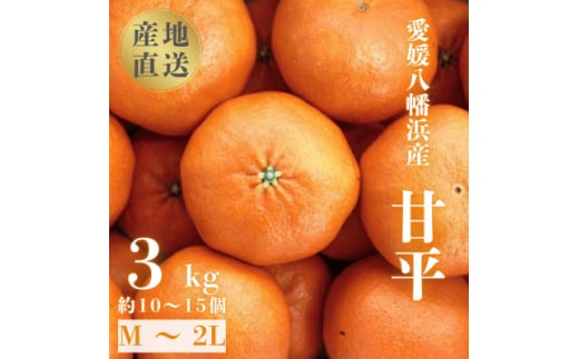 \ 愛媛が誇る 高級みかん 希少品種 / 甘平 (かんぺい) 3kg <D20-5>【1094583】愛媛県八幡浜市25000果物・フルーツみかん・柑橘類