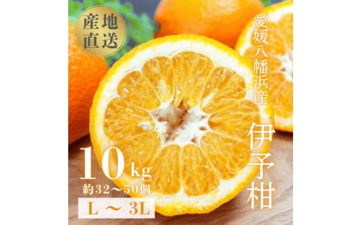 <爽やか香りと柔らかジューシーな果肉>愛媛八幡浜産 宮内伊予柑 10kg<D20-6>【1094591】愛媛県八幡浜市25000果物・フルーツみかん・柑橘類
