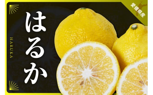三代目がつくるはるか4kg<D31-8>_ みかん ミカン 柑橘 フルーツ 果物 くだもの 青果 はるか 産地直送 産直 愛媛 甘い ジューシー 常温 【1042520】愛媛県八幡浜市15000果物・フルーツみかん・柑