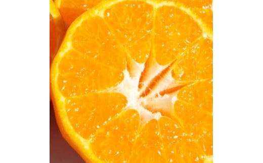 ᐅ̍肫헧uFa|Jv4kgC28-4y1119725zQls10000ʕEt[c݂Ek