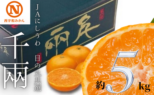 JAにしうわの季節の柑橘(日の丸共選 「千兩」 約5kg)<D08-2>【1443243】愛媛県八幡浜市19000果物・フルーツみかん・柑橘類