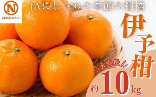 JAにしうわの季節の柑橘(伊予柑 約10kg)<E08-7>【1474221】愛媛県八幡浜市21000果物・フルーツみかん・柑橘類